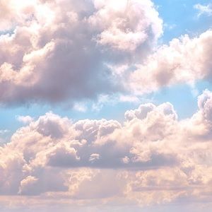 Meet your Posher, Bella